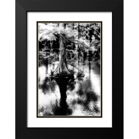 Trenton Cyprus II Black Modern Wood Framed Art Print with Double Matting by Hausenflock, Alan