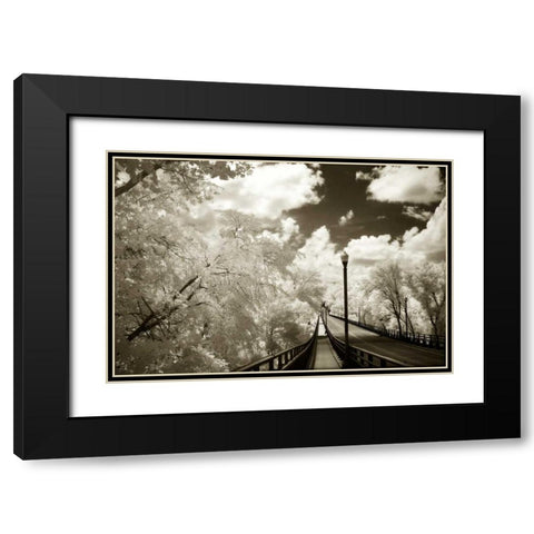 Boulevard Bridge II Black Modern Wood Framed Art Print with Double Matting by Hausenflock, Alan