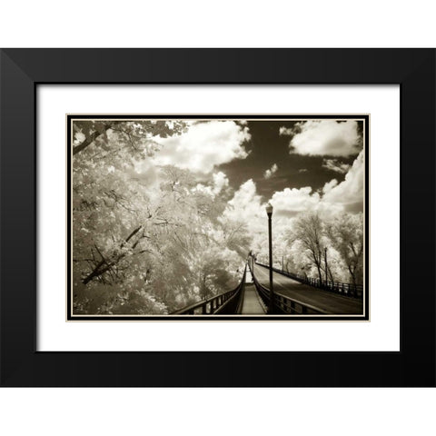 Boulevard Bridge II Black Modern Wood Framed Art Print with Double Matting by Hausenflock, Alan