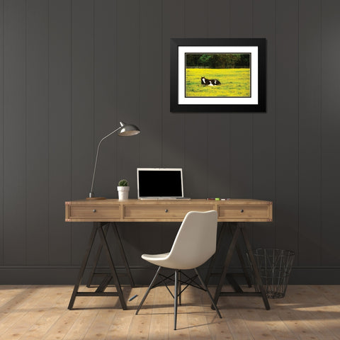 Black Pinto II Black Modern Wood Framed Art Print with Double Matting by Hausenflock, Alan
