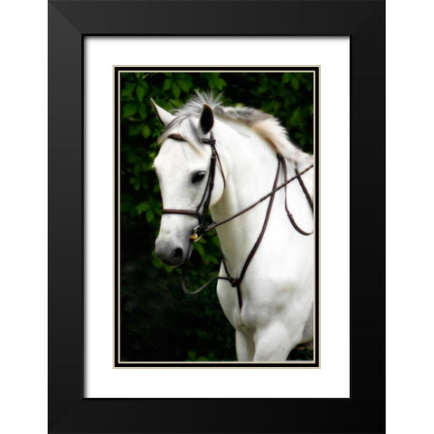 Phantom I Black Modern Wood Framed Art Print with Double Matting by Hausenflock, Alan
