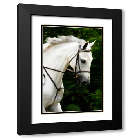 Phantom II Black Modern Wood Framed Art Print with Double Matting by Hausenflock, Alan