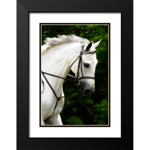 Phantom II Black Modern Wood Framed Art Print with Double Matting by Hausenflock, Alan