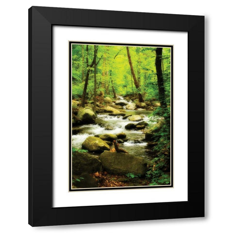 White Oak River I Black Modern Wood Framed Art Print with Double Matting by Hausenflock, Alan
