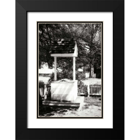 The Old Well II Black Modern Wood Framed Art Print with Double Matting by Hausenflock, Alan