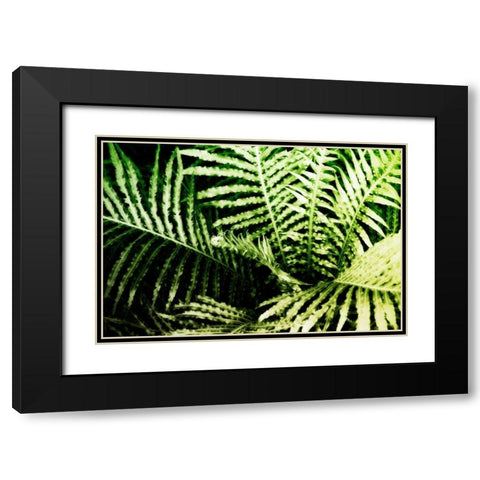 Tropical Foliage II Black Modern Wood Framed Art Print with Double Matting by Hausenflock, Alan