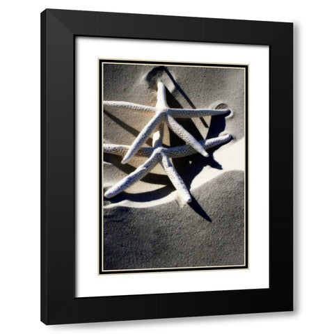 Sea Stars I Black Modern Wood Framed Art Print with Double Matting by Hausenflock, Alan