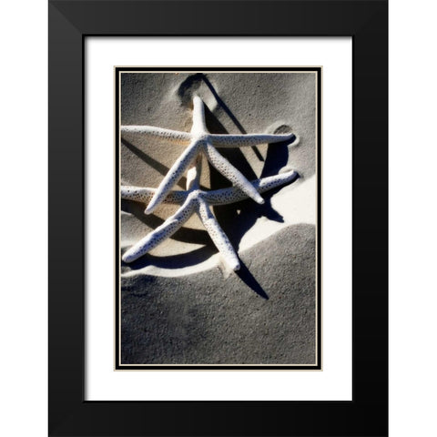 Sea Stars I Black Modern Wood Framed Art Print with Double Matting by Hausenflock, Alan