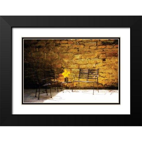 Peaceful Patio I Black Modern Wood Framed Art Print with Double Matting by Hausenflock, Alan