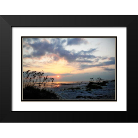 Masonboro Inlet II Black Modern Wood Framed Art Print with Double Matting by Hausenflock, Alan