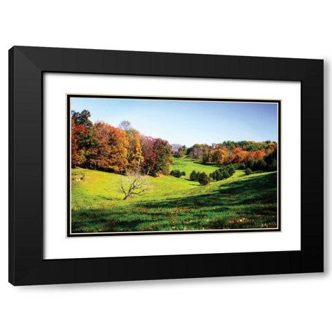 Virginia Hills I Black Modern Wood Framed Art Print with Double Matting by Hausenflock, Alan