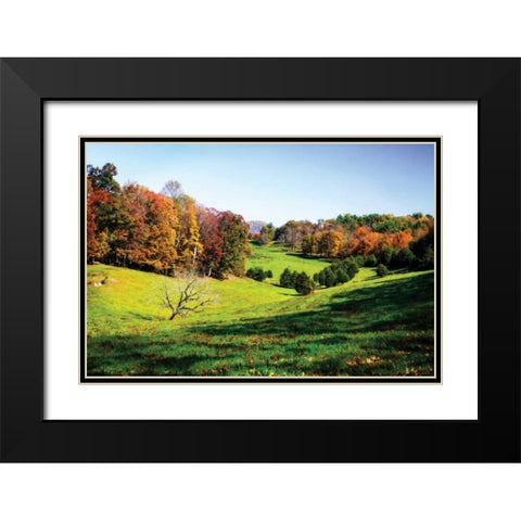 Virginia Hills I Black Modern Wood Framed Art Print with Double Matting by Hausenflock, Alan