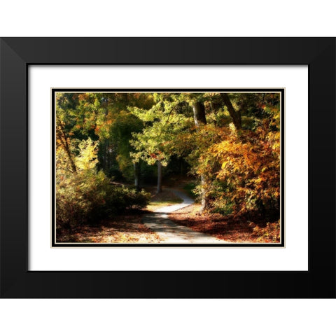 Autumn Pathway I Black Modern Wood Framed Art Print with Double Matting by Hausenflock, Alan