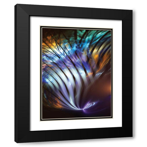 Plumage II Black Modern Wood Framed Art Print with Double Matting by Hausenflock, Alan