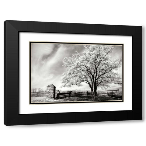 McCormick Road II Black Modern Wood Framed Art Print with Double Matting by Hausenflock, Alan