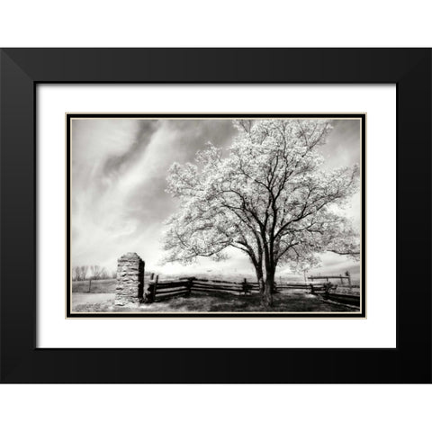 McCormick Road II Black Modern Wood Framed Art Print with Double Matting by Hausenflock, Alan