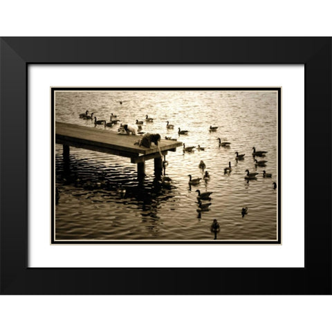 Feeding the Geese II Black Modern Wood Framed Art Print with Double Matting by Hausenflock, Alan