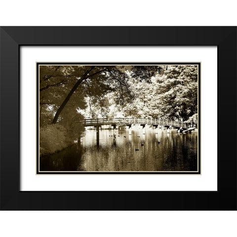 Westhampton Lake II Black Modern Wood Framed Art Print with Double Matting by Hausenflock, Alan
