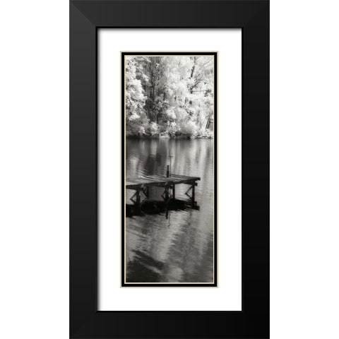 Mint Springs Lake Panel I Black Modern Wood Framed Art Print with Double Matting by Hausenflock, Alan