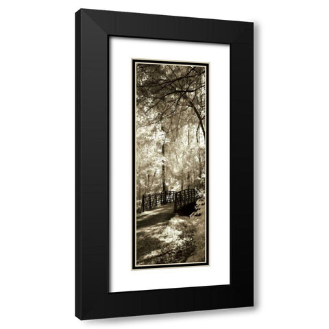 Summer Bridge Panel Black Modern Wood Framed Art Print with Double Matting by Hausenflock, Alan