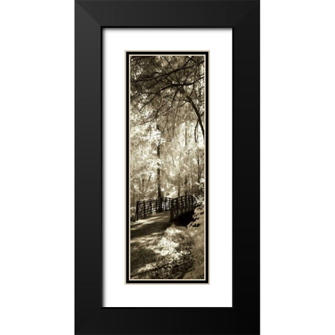 Summer Bridge Panel Black Modern Wood Framed Art Print with Double Matting by Hausenflock, Alan