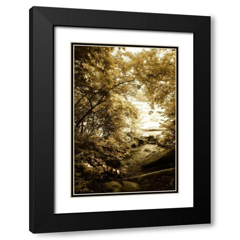 By the River Wide II Black Modern Wood Framed Art Print with Double Matting by Hausenflock, Alan