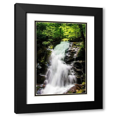 Deep Woods Waterfall II Black Modern Wood Framed Art Print with Double Matting by Hausenflock, Alan