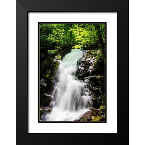 Deep Woods Waterfall II Black Modern Wood Framed Art Print with Double Matting by Hausenflock, Alan