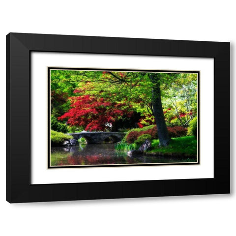 Meisho Garden I Black Modern Wood Framed Art Print with Double Matting by Hausenflock, Alan