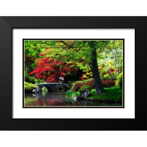 Meisho Garden I Black Modern Wood Framed Art Print with Double Matting by Hausenflock, Alan