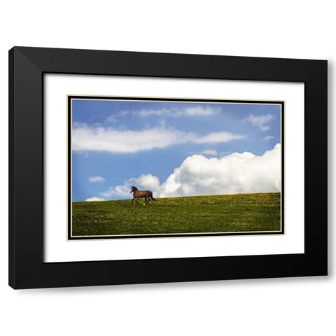 Horses in the Clouds I Black Modern Wood Framed Art Print with Double Matting by Hausenflock, Alan