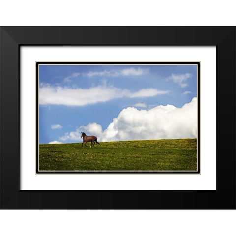 Horses in the Clouds I Black Modern Wood Framed Art Print with Double Matting by Hausenflock, Alan