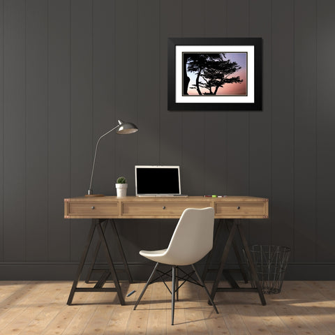 Cypress Silhouette I Black Modern Wood Framed Art Print with Double Matting by Hausenflock, Alan