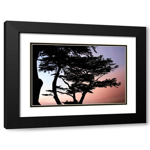 Cypress Silhouette I Black Modern Wood Framed Art Print with Double Matting by Hausenflock, Alan