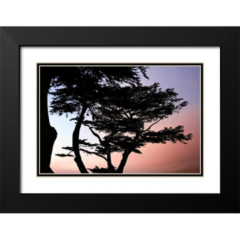 Cypress Silhouette I Black Modern Wood Framed Art Print with Double Matting by Hausenflock, Alan