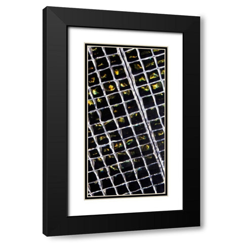Rippled Steel Black Modern Wood Framed Art Print with Double Matting by Hausenflock, Alan