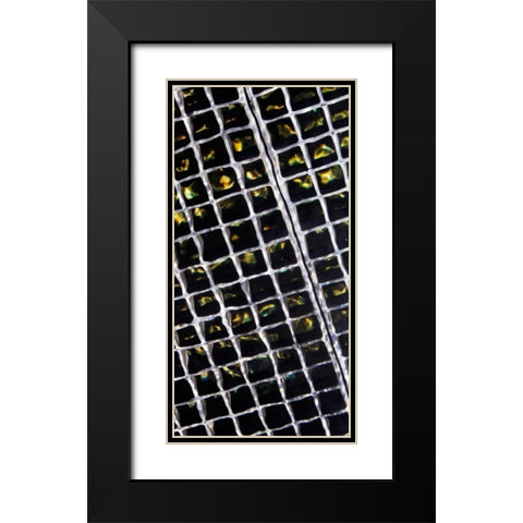 Rippled Steel Black Modern Wood Framed Art Print with Double Matting by Hausenflock, Alan
