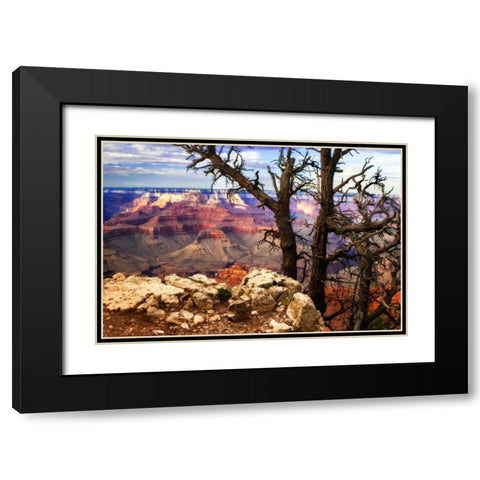 The Caynon IV Black Modern Wood Framed Art Print with Double Matting by Hausenflock, Alan