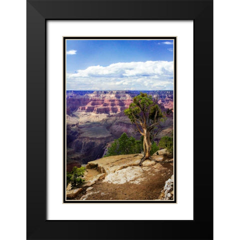 The Canyon Rim I Black Modern Wood Framed Art Print with Double Matting by Hausenflock, Alan