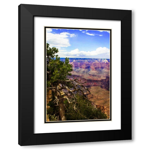 The Canyon Rim II Black Modern Wood Framed Art Print with Double Matting by Hausenflock, Alan