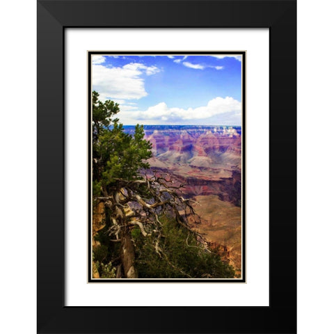 The Canyon Rim II Black Modern Wood Framed Art Print with Double Matting by Hausenflock, Alan