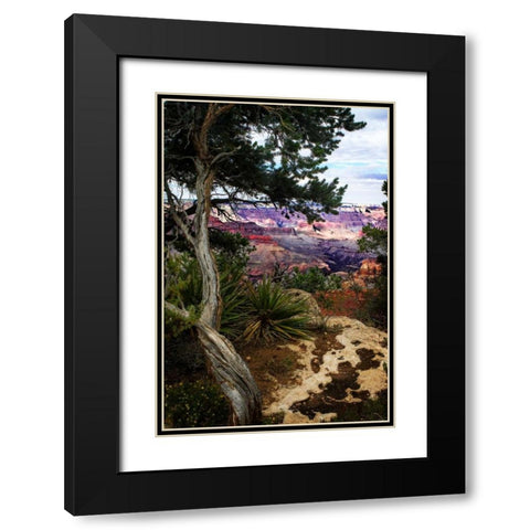 Eveing on the Rim II Black Modern Wood Framed Art Print with Double Matting by Hausenflock, Alan