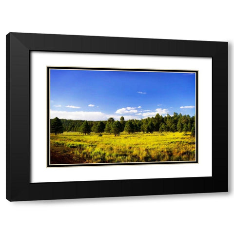 Big Sky Ranch II Black Modern Wood Framed Art Print with Double Matting by Hausenflock, Alan