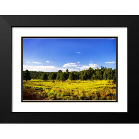 Big Sky Ranch II Black Modern Wood Framed Art Print with Double Matting by Hausenflock, Alan