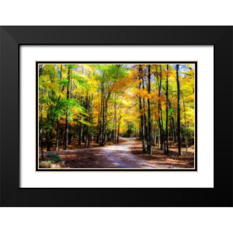 Goose Pond Lane II Black Modern Wood Framed Art Print with Double Matting by Hausenflock, Alan