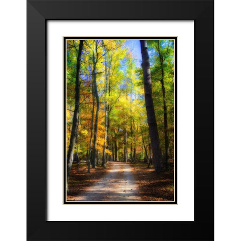 Goose Pond Lane III Black Modern Wood Framed Art Print with Double Matting by Hausenflock, Alan