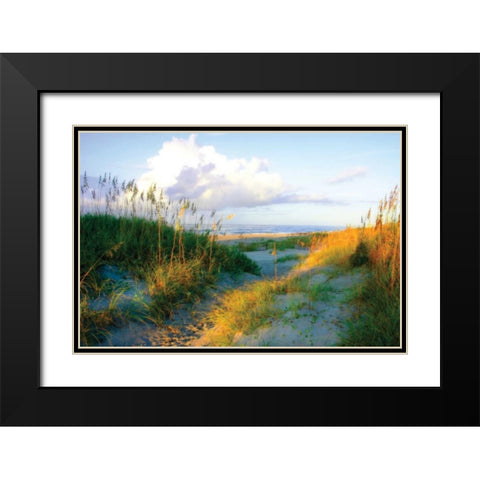 Dunes I Black Modern Wood Framed Art Print with Double Matting by Hausenflock, Alan