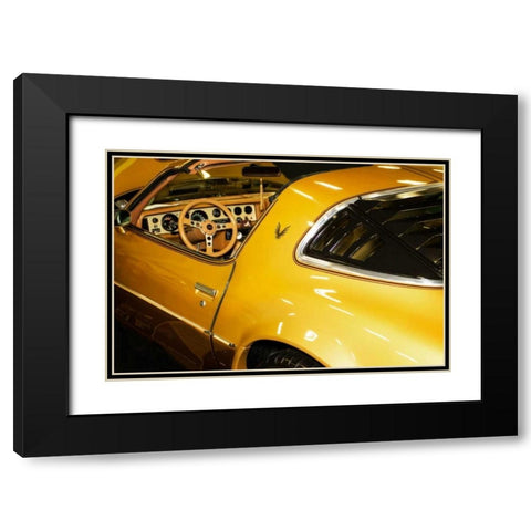 Gold Street Bird Black Modern Wood Framed Art Print with Double Matting by Hausenflock, Alan