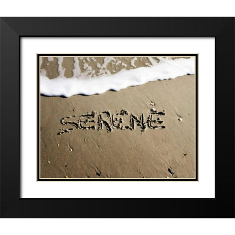 Serene Black Modern Wood Framed Art Print with Double Matting by Hausenflock, Alan
