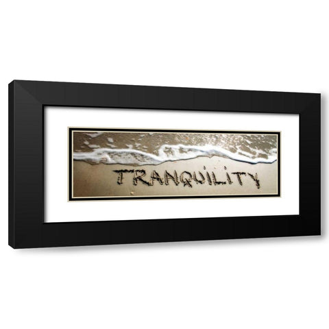 Tranquility Black Modern Wood Framed Art Print with Double Matting by Hausenflock, Alan